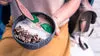 Winter Smoothie Bowl Recipe