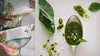 Help Boost Your Iron with SP2's Fresh Pesto