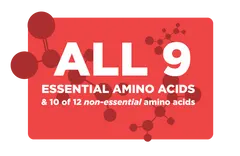 amino acids SP2 Spirulina