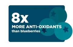 8x the available anti-oxidants in fresh spirulina than blueberries keeps kids healthy and happy
