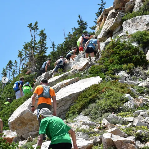 Cirque Series Mountain Running SP2 Spirulina